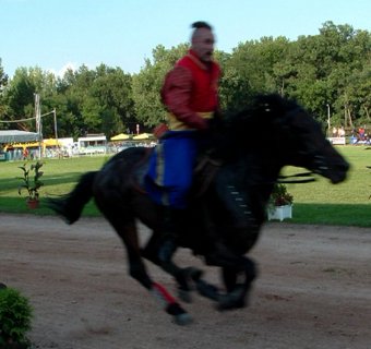 Szarvasi lovas világtalálkozó